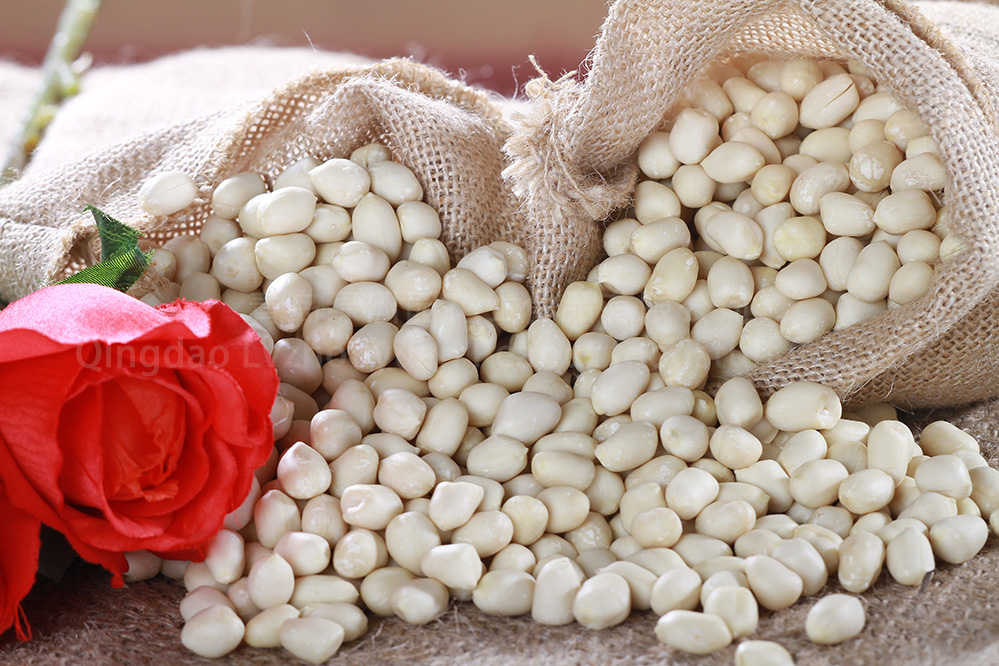 BLANCHED PEANUTS HAISHA/HSUJI  TYPE