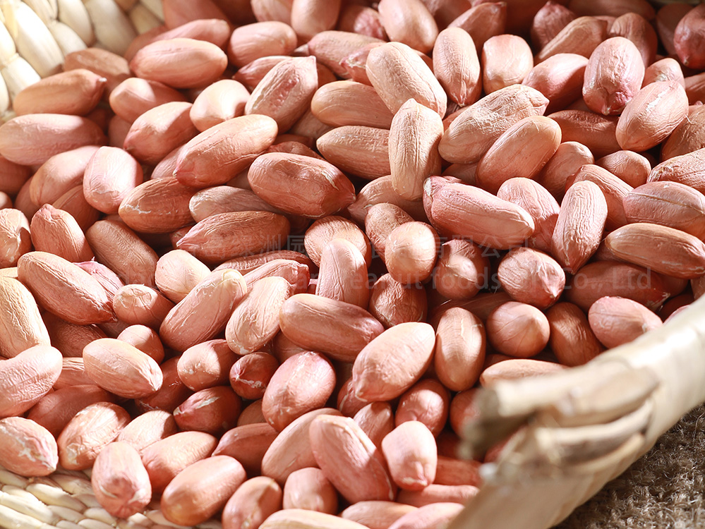 PEANUT KERNELS TRADITIONAL TYPE