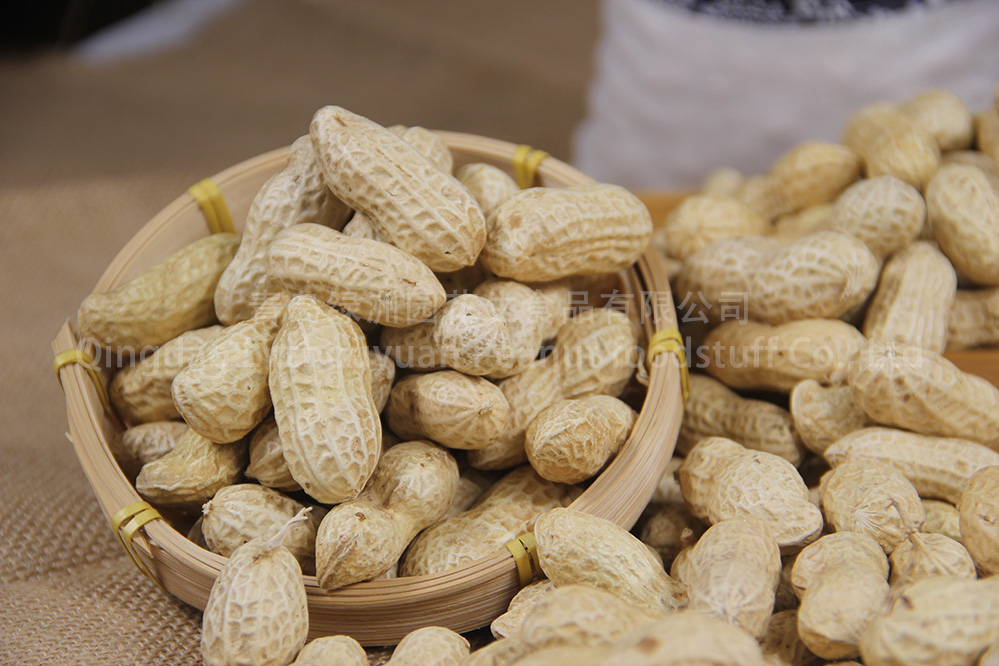 PEANUTS IN SHELL