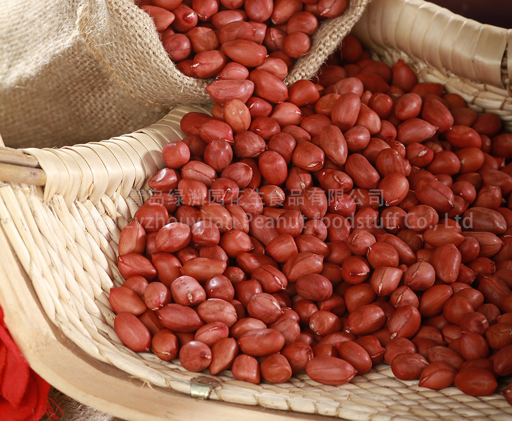 PEANUT KERNELS WITH DARK RED SKIN