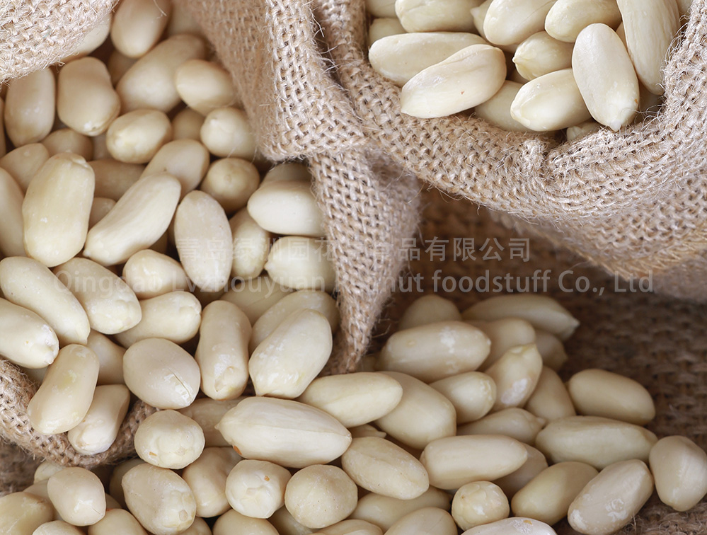 BLANCHED PEANUT KERNELS