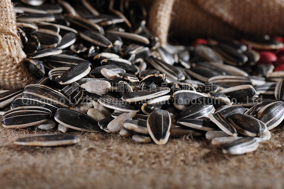SUNFLOWER SEEDS KERNEL